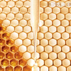 【跨境】GUERLAIN娇兰蜂姿精粹水40ml*1/3瓶（效期：2028/10） 商品缩略图3
