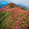 第四届贵州花季徒步节｜五一特别版 寻找贵州山野里的映山红花海 5日 商品缩略图3