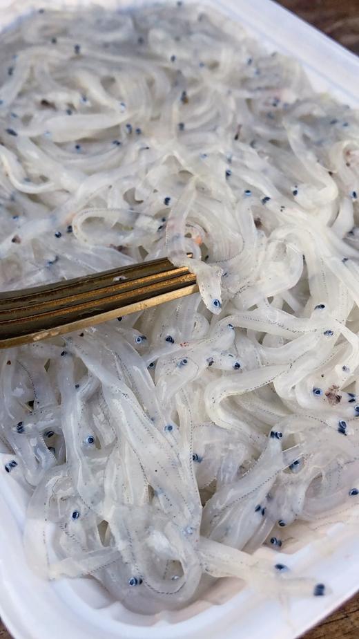 海水小银鱼 肉质细嫩柔软 无硬骨无尖刺  堪称“海中营养小金条” 商品图4