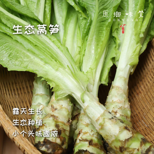 生态青皮莴笋（农场直发-顺丰包邮） | 4斤装，成都郫都区基地，【原乡农场，自产自销】 商品图0