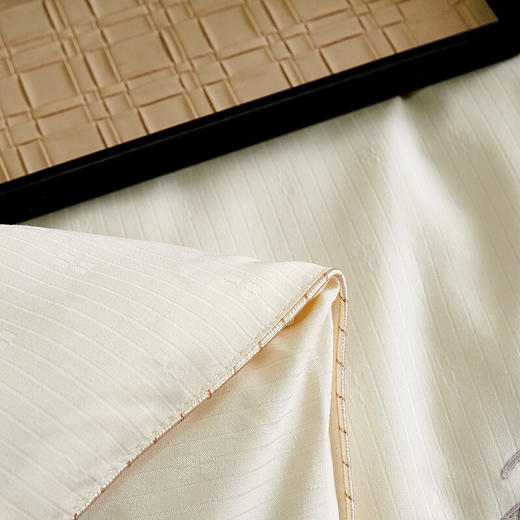 LHX8419蚕丝被 商品图6