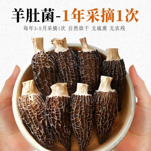 【耘林优选专属】云南精品剪柄羊肚菌20g 商品图3