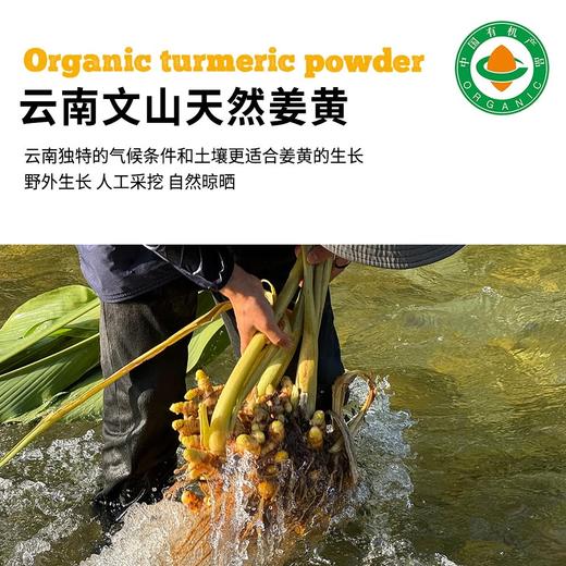 29.9有机姜黄粉 烘焙调味料 可做超多美食基地直邮 商品图3