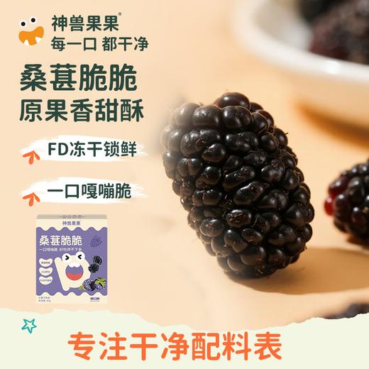 水果脆脆组合（苹果/雪梨/桑葚/火龙果味） 商品图3