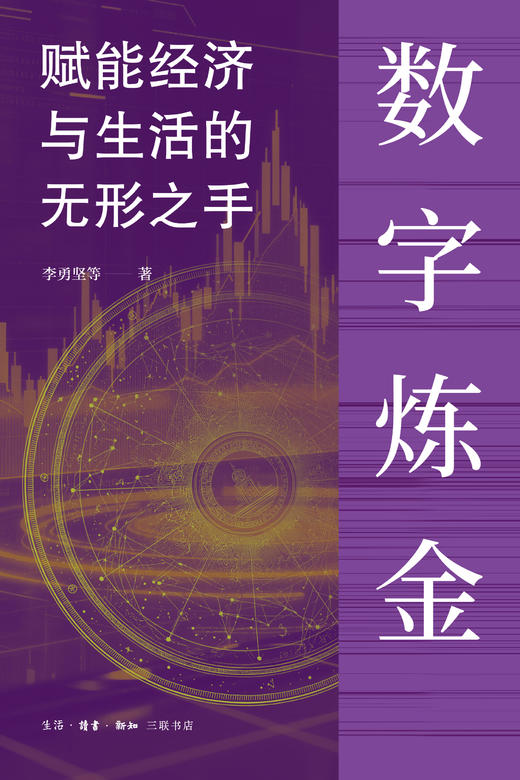 数字炼金：赋能经济与生活的无形之手 商品图2