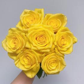 黄色单头玫瑰20枝