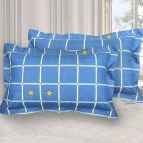 王后家纺学生荞麦枕0806[40*60]