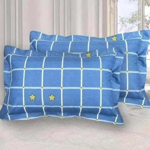 王后家纺学生荞麦枕0806[40*60] 商品图0