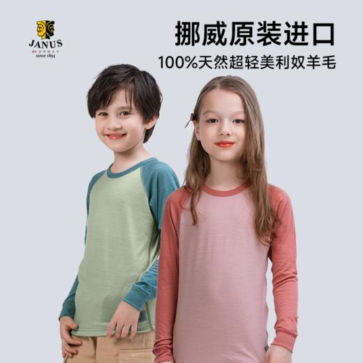 【100-170码】挪威进口 JANUS春夏100%美利奴羊毛超轻羊毛长袖薄衫  【2026新色】 商品图3