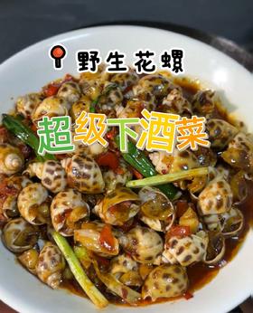 今日花螺新鲜上岸⛵💦肉质肥美弹牙，白灼，爆炒，香辣，吃的让你停不下来‼【新鲜活冻】