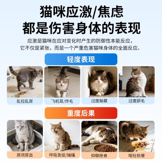 佳巴静加巴喷丁片剂宠物猫咪专用舒缓情绪防应激口炎尿闭止疼痛药 商品图3