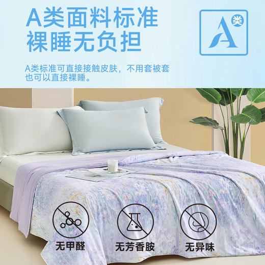 沁心超柔凉感空调被(一梦春帘) 商品图2