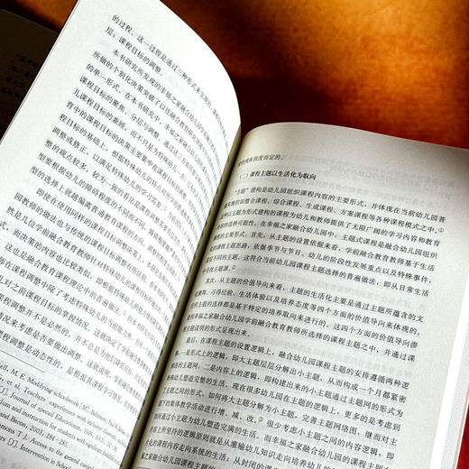 学前融合教育教师的课程决策研究 特殊幼儿早期教育 商品图11