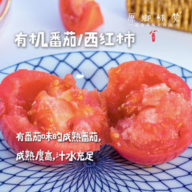 沃野有机番茄/西红柿（基地直发-顺丰包邮） | 3斤/4.5斤装，来自陕西咸阳，生产者：郑力行【合作生产，公平贸易】