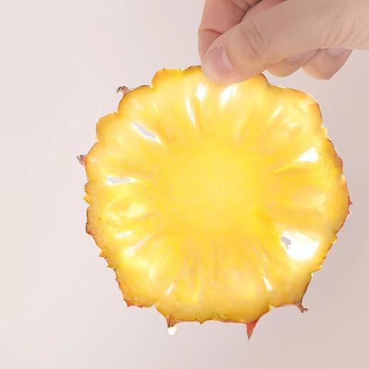 海南金钻凤梨1kg(个) 商品图0