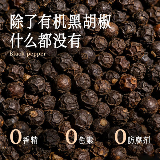 全食物日记×鲜味诀 有机黑胡椒100克 商品图1