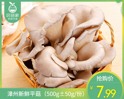 漳州新鲜平菇（500g±50g/份） 商品图0