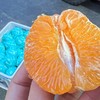 熊猫指南～春见耙耙柑【净重6.3～6.5斤】 商品缩略图0