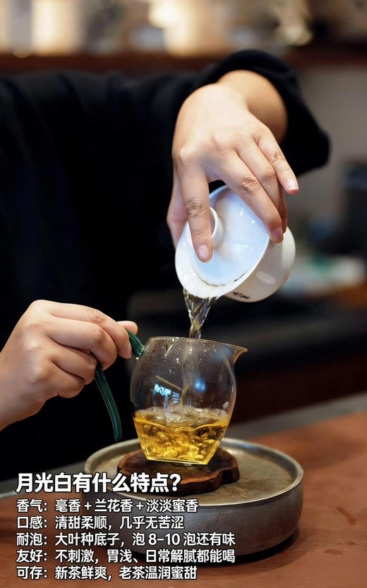 【2024月光白白牡丹】牡丹王级-白牡丹中最高的等级 商品图2