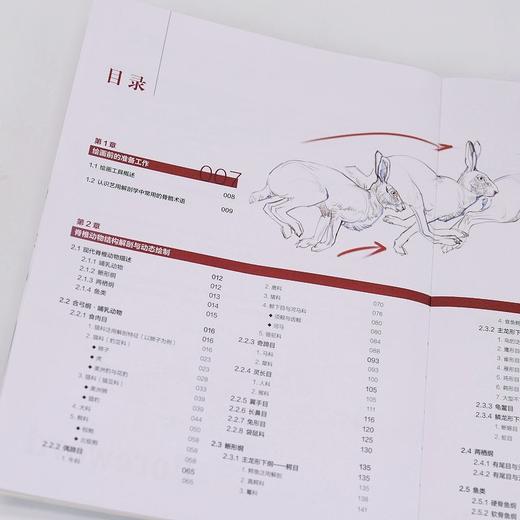 艺用动物结构动态与造型设计 动物结构解剖动物绘画造型设计OC创作 动物造型设计艺用动物 游戏角色影视怪兽参考设计 商品图3
