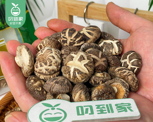 湖北随州天白小花菇-干货（一口菇）/1包（约200g）生产日期：26年4月 商品图1