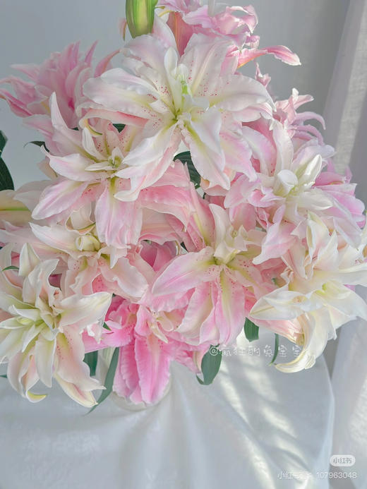 【2026.4.3】特价：4枝2头A级重瓣百合桃之夭25.9（现货 下单即可到店自提） 商品图2