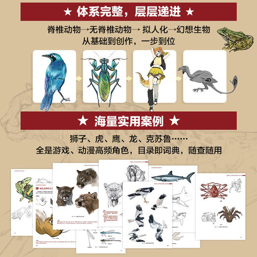 艺用动物结构动态与造型设计 动物结构解剖动物绘画造型设计OC创作 动物造型设计艺用动物 游戏角色影视怪兽参考设计 商品图1