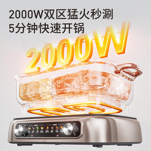 九阳8L升电火锅家用多功能电热锅烤肉烤鱼锅火锅料理一体锅电煮锅 商品图6