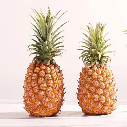 海南金钻凤梨1kg(个) 商品图3