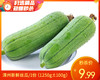 现摘新鲜丝瓜/1份（1250g±100g） 商品缩略图0