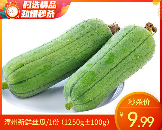 现摘新鲜丝瓜/1份（1250g±100g） 商品图0