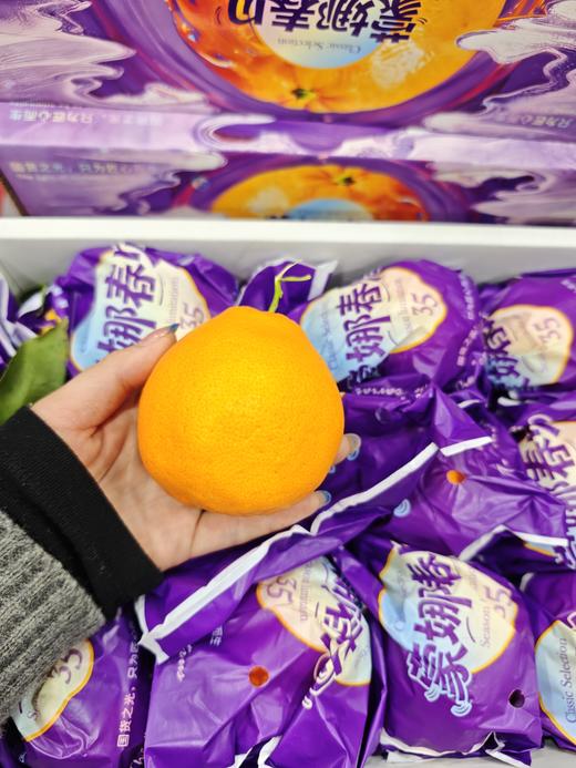春见 粑粑柑 🍊  纯甜口 橘味浓郁 当季39.9/件 9.5斤装 商品图1