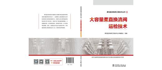柔性直流电网工程技术丛书 大容量柔直换流阀运检技术 商品图2