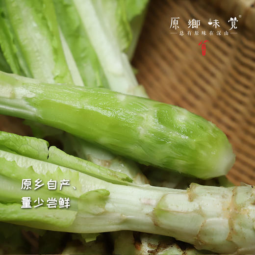生态青皮莴笋（农场直发-顺丰包邮） | 4斤装，成都郫都区基地，【原乡农场，自产自销】 商品图1