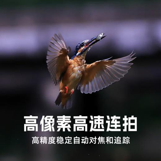 全新国行丨佳能R63微单相机 4K视频拍摄 专业级vlog摄影器材r6三代全画幅微单机身 商品图1