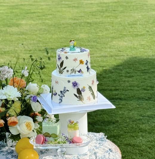 森系植物标本 商品图1