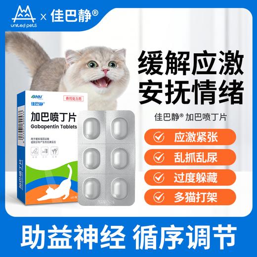 佳巴静加巴喷丁片剂宠物猫咪专用舒缓情绪防应激口炎尿闭止疼痛药 商品图0