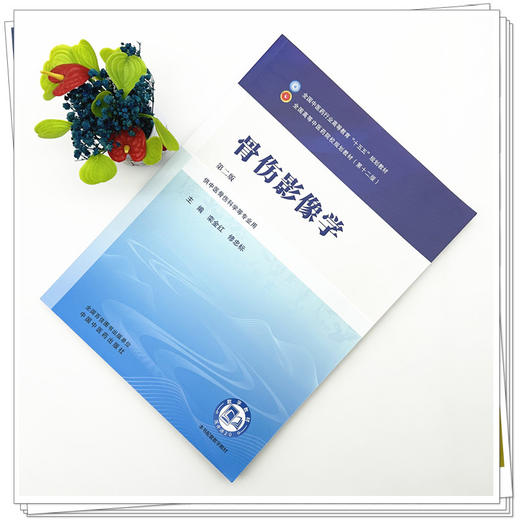 骨伤影像学 栾金红 修忠标 主编（第二版）全国中医药行业高等教育十五五第十二版规划教材 中国中医药出版社 商品图1