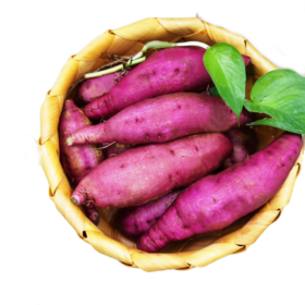 海南 沙土地瓜 净果8斤