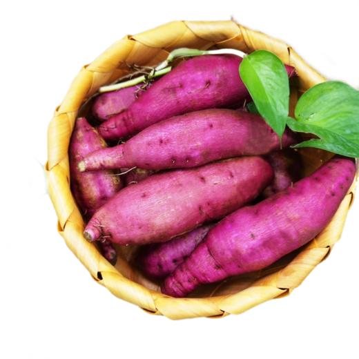 海南 沙土地瓜 净果8斤 商品图0