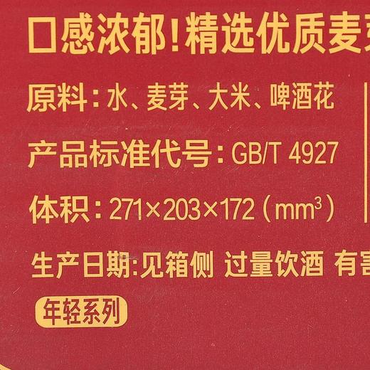 雪花 脸谱啤酒 ≥4.1度 500ml*12 商品图5