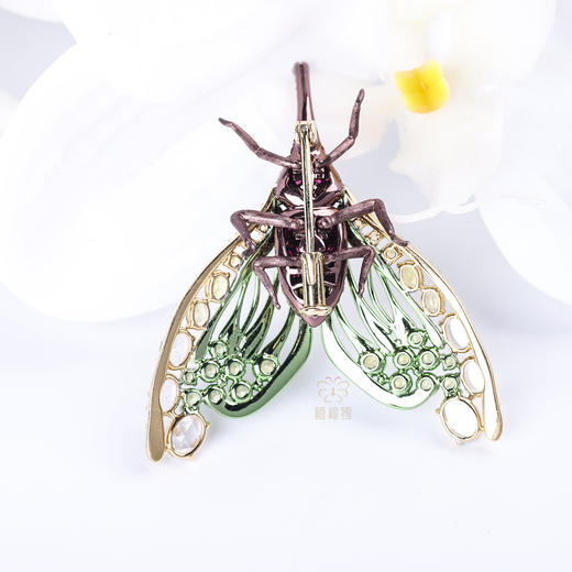 【夏日精灵】红宝石龙眼鸡胸针 商品图8