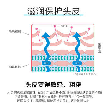 珂润（Curel）保湿洗发液420ml 温和洗发舒缓丰富泡沫敏感头皮男女士进口护肤品 /个人护理 /洗发护发 /洗发水 商品图3