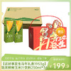 【送好事发生马年礼盒1953g】中粮悠采鲜榨玉米汁饮料250ml*36盒-（玉米汁效期至26年5月23日；零食效期至26年6月30日）-专享价 商品缩略图0