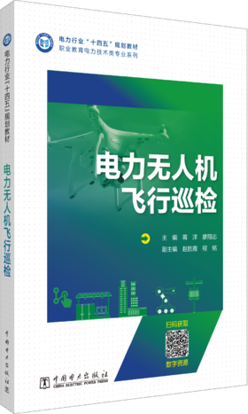 电力无人机飞行巡检