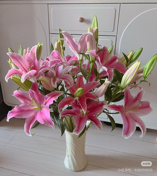 【2026.4.6】特特价：5枝3头A级索尔邦粉百合25.9（现货 下单即可到店自提） 商品图3