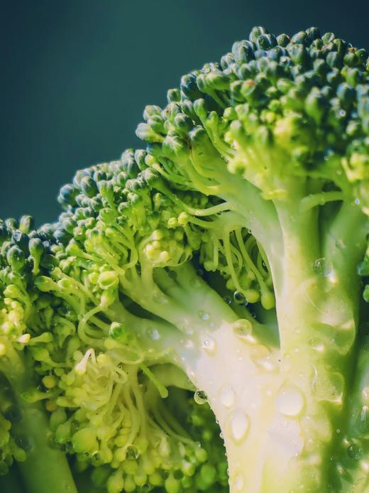 西兰花 750g 商品图2