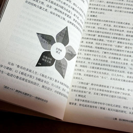 “语文+X”跨学科主题学习 用课例告诉你 大夏书系 语文之道 商品图8