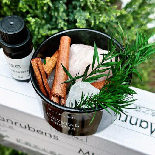 【ManrubensMken·扩香无火香氛】 植物能量+矿物能量的碰撞🌿带来情绪疗愈 治愈力max 商品图0
