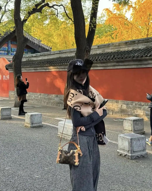 LV TRUNK 老花 小号 斜挎包 商品图3